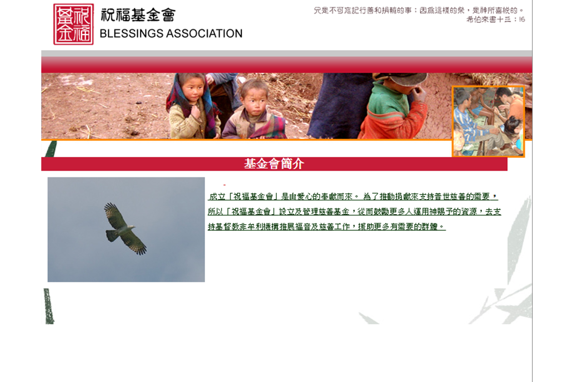 政府、醫院及非政府組織 - 祝福基金會 | Gov, Hospitals and NGOs - Blessings Association